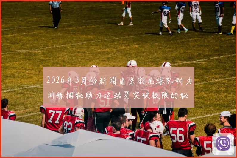 2026年3月份新闻南京羽毛球队耐力训练揭秘助力运动员突破极限的秘密